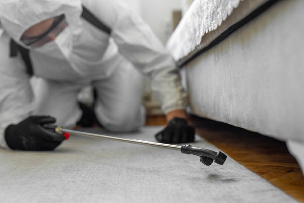 Professional Pest Control technician working in Hebron, MD