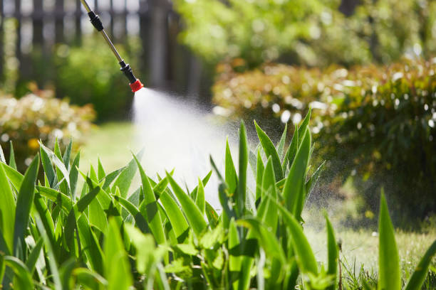 24/7 Emergency Pest Control experts in Hebron, MD