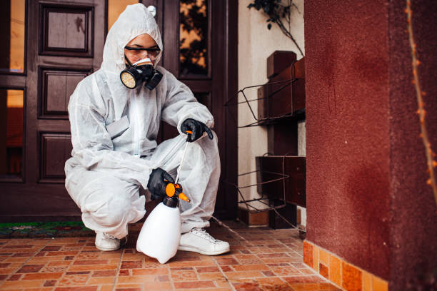 Reliable Pest Control contractor in Hebron, MD by Nex Pest Control