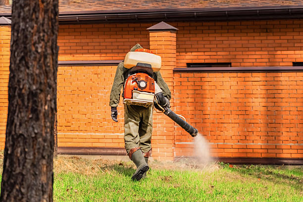 Top rated local Pest Control specialists in Hebron, MD